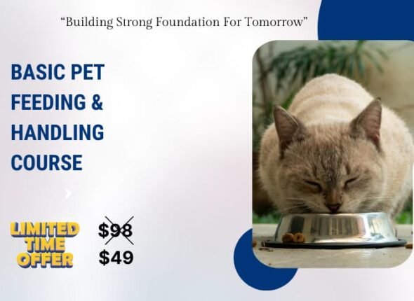 WhatsApp Image 2025-12-17 at 13.24.58